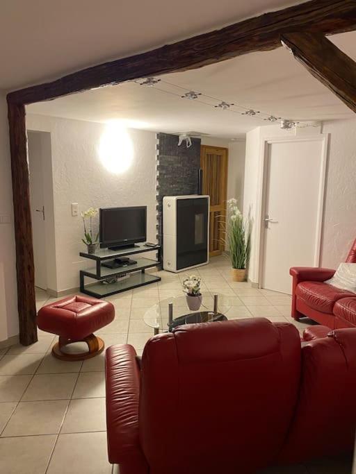 Bel Modernise Avec Terrasse. * Villar-Saint-Pancrace